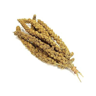 Rio Spray Millet Natural Treat for All Birds