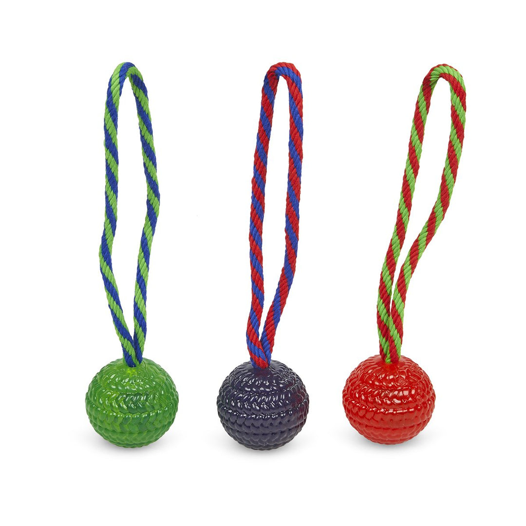PetFace Toyz Chew Ball On A Rope Dog Toy