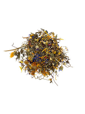 Burgess Excel Nature Snacks Wildflower Forage