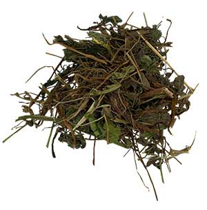 Burgess Excel Nature Snacks Luscious Leaves