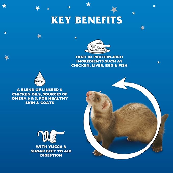 Dr John Merlin Ferret