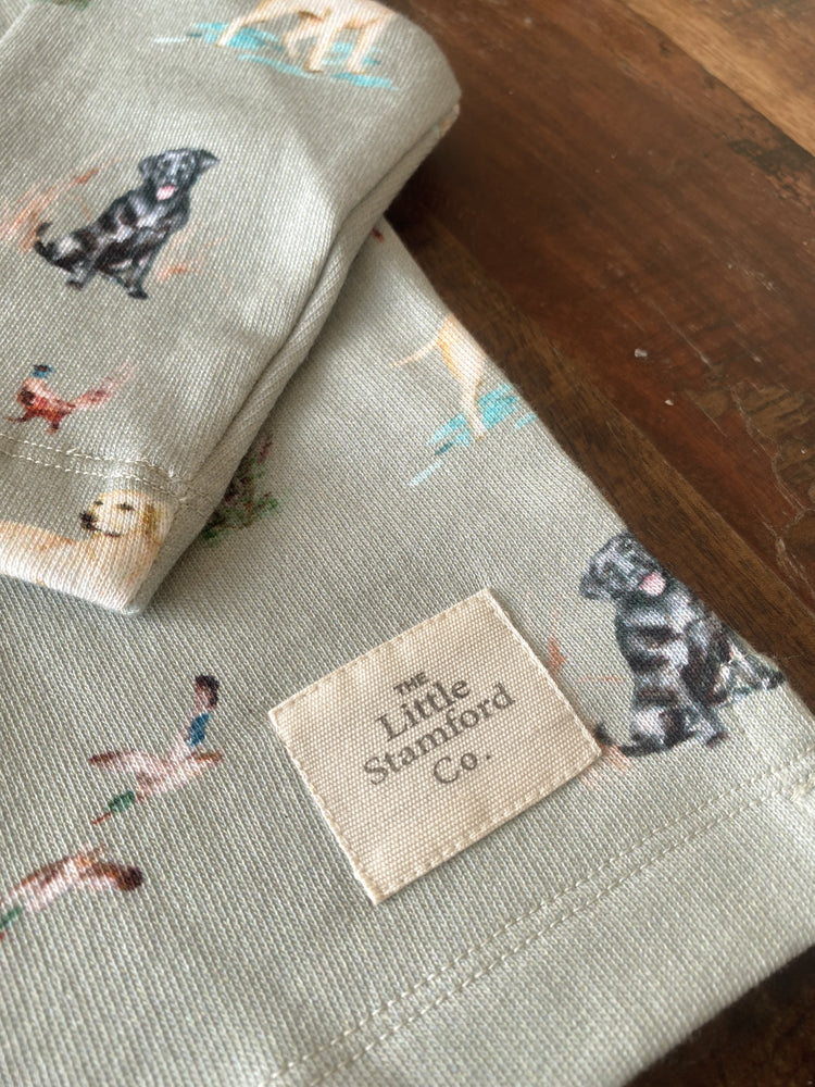 The Little Stamford 1/4 Zip Sweatshirt - Dog