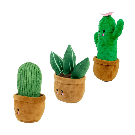 Ancol Cuddley Cactus Dog Toy
