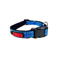 Kong Adjustable Dog Collar