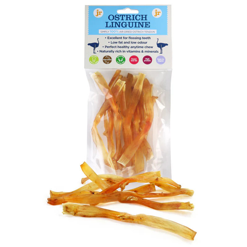 JR Pet Products Ostrich Liguine