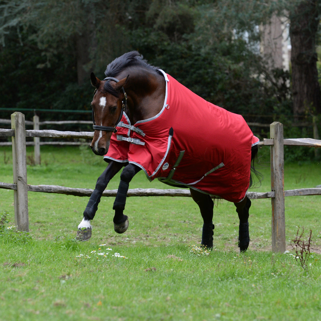 Weatherbeeta Comfitec Classic 220g Standard Neck Turnout Rug