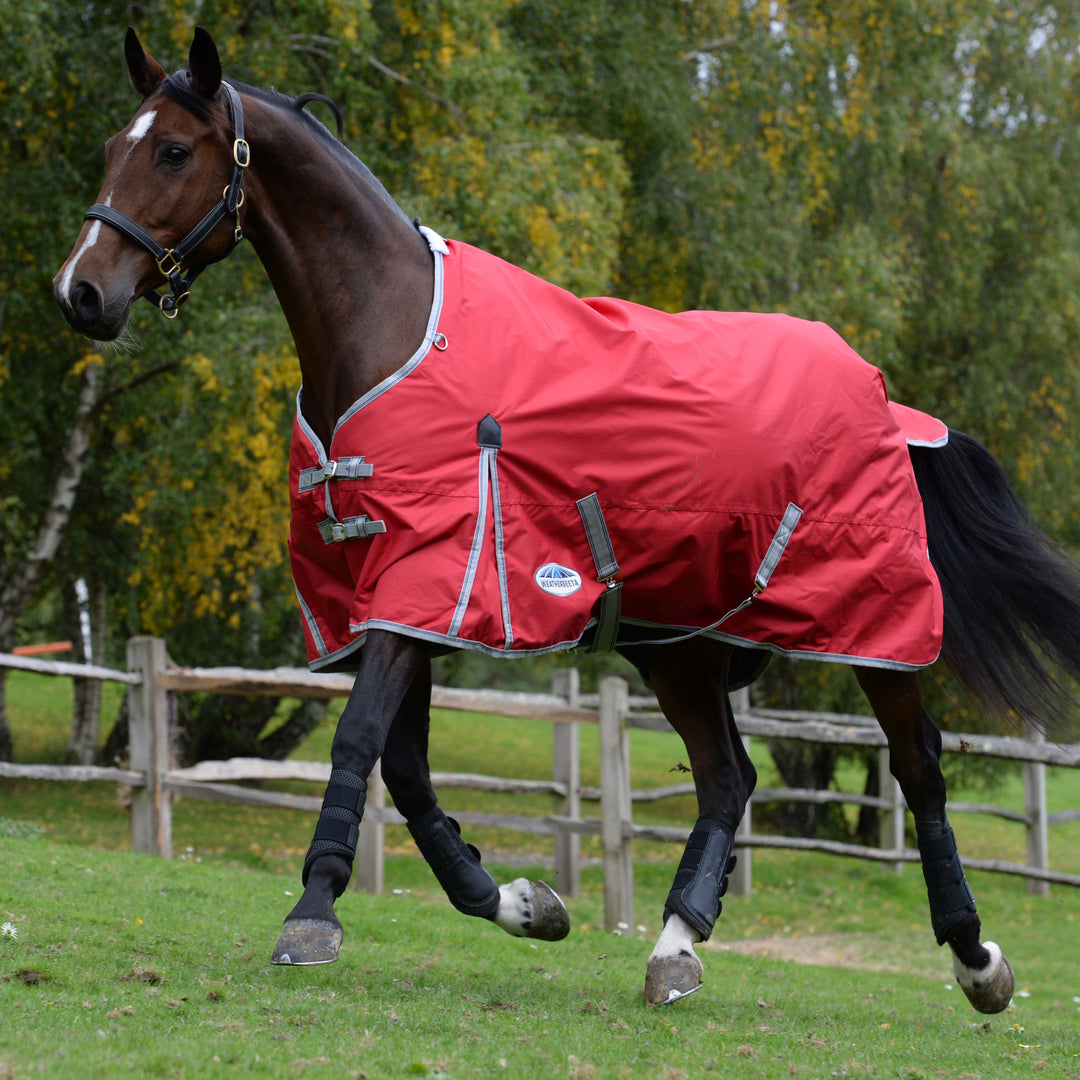 Weatherbeeta Comfitec Classic 220g Standard Neck Turnout Rug