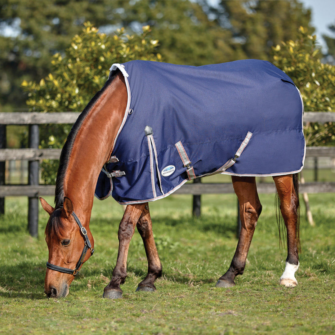 Weatherbeeta Comfitec Essential Standard Neck Lite Plus Turnout Rug