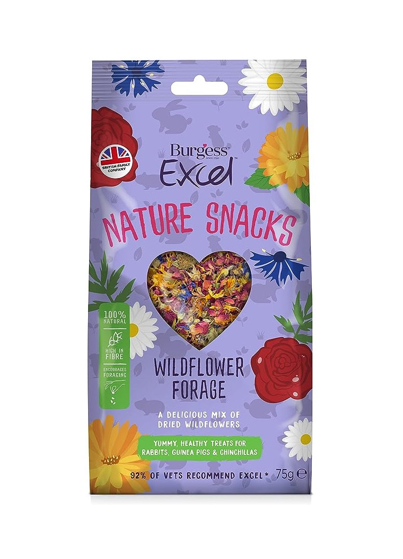 Burgess Excel Nature Snacks Wildflower Forage