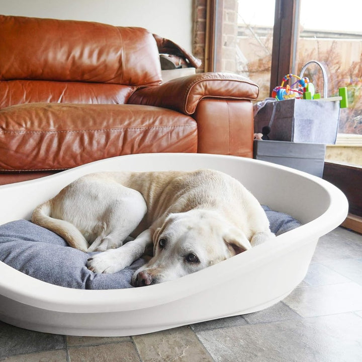 Rosewood Sonny Plastic Bed#Cream