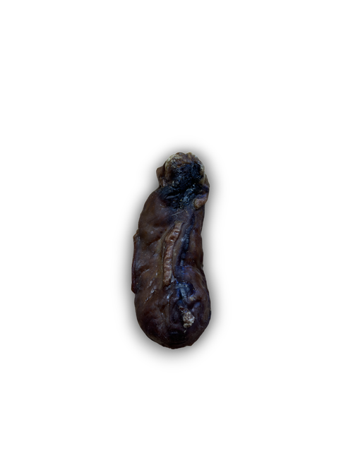 Anco Naturals Bully Dangler