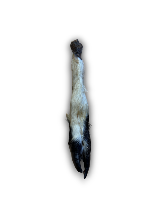 Anco Naturals Hairy Lamb Trotter