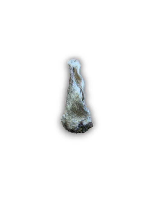 Anco Naturals Hairy Lamb Ear