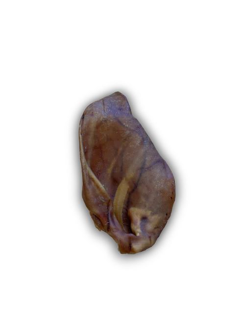 JR Pet Products Pigs Ear