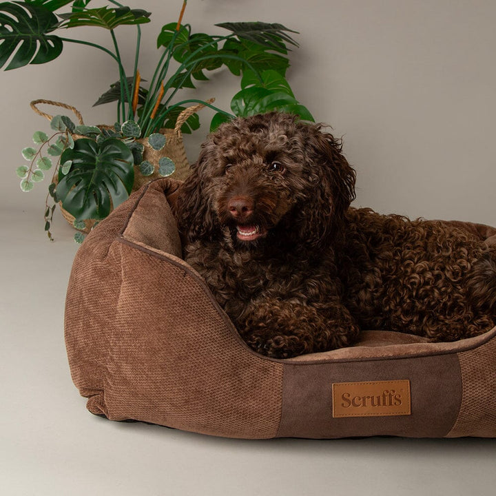 Scruffs Chester Box Bed