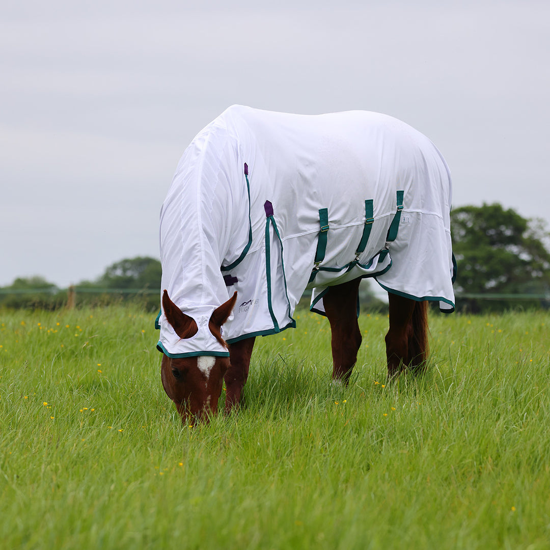 Shires Highlander Plus Combo Fly Rug