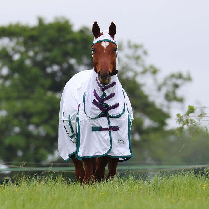 Shires Highlander Plus Combo Fly Rug