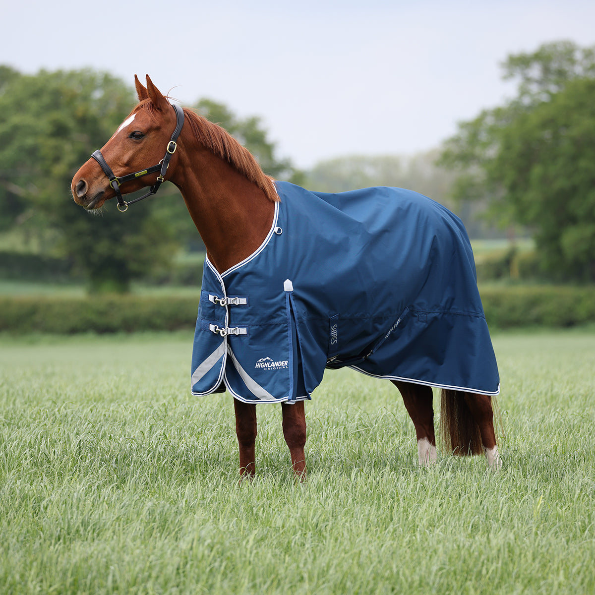 AnzeigeShires Regendecke Original Lite Turnout Mit Halsteil Navy