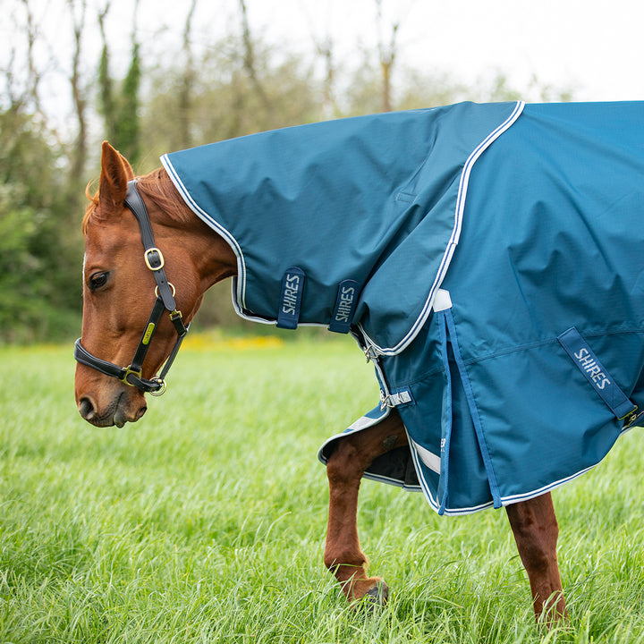Shires Highlander Original 50g Turnout Rug & Neck Set