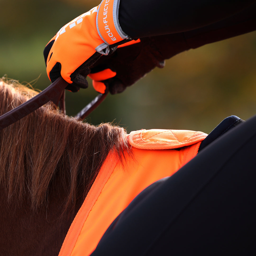 Equi-Flector Waterproof Exercise Sheet