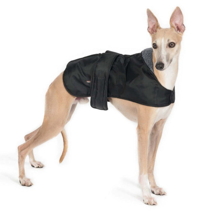 Ancol Hound Coat for Greyhounds & Whippets#Black