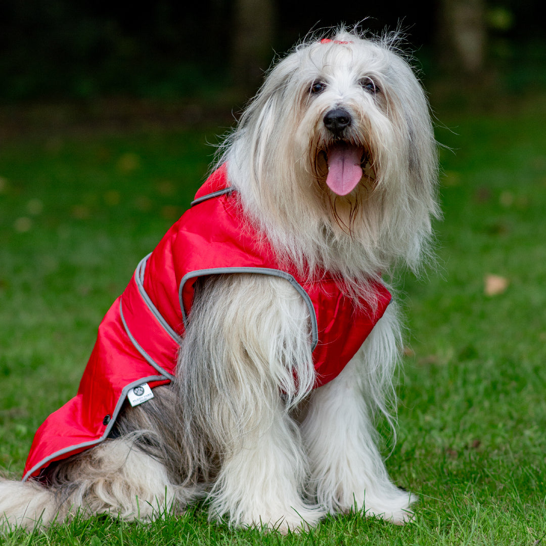 Ancol Stormguard Waterproof Dog Coat