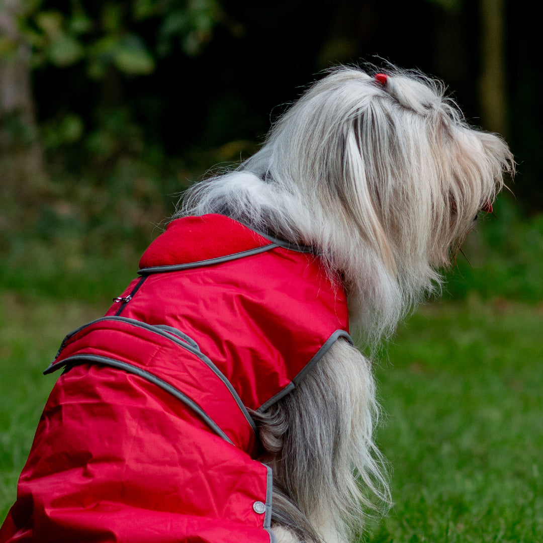 Ancol Stormguard Waterproof Dog Coat