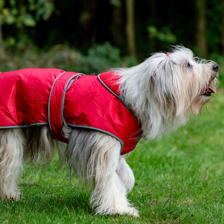 Ancol Stormguard Waterproof Dog Coat