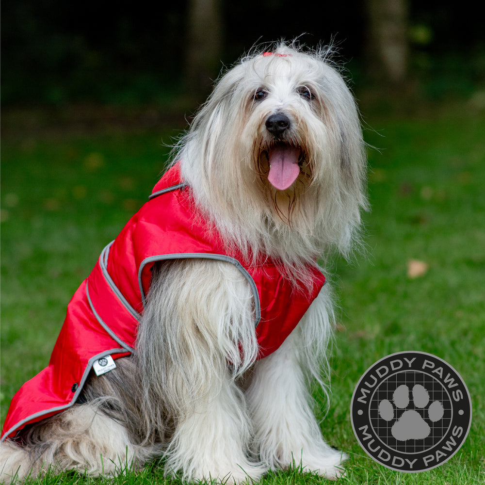 Ancol Stormguard Dog Coat#Red