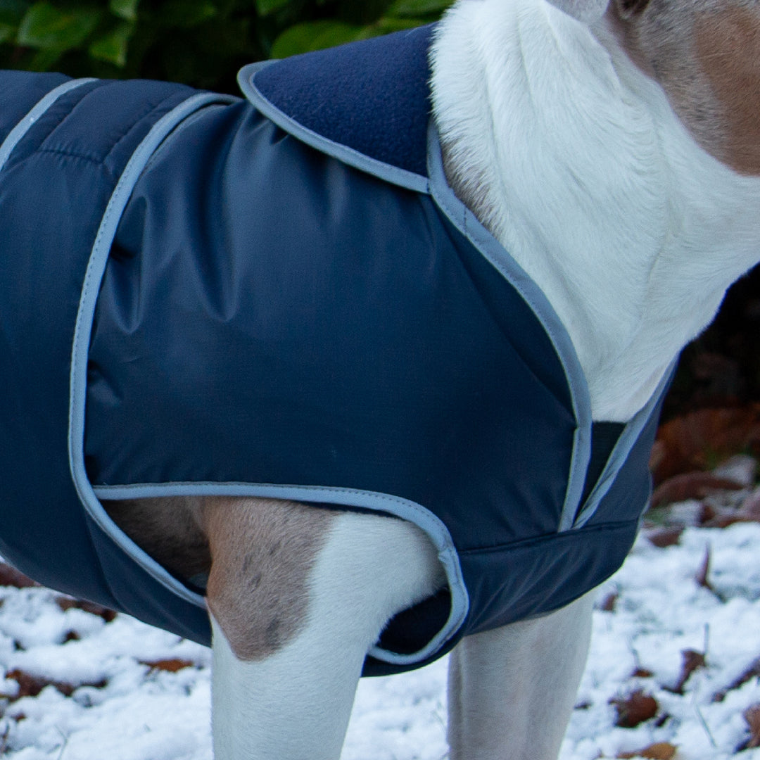 Ancol Stormguard Waterproof Dog Coat