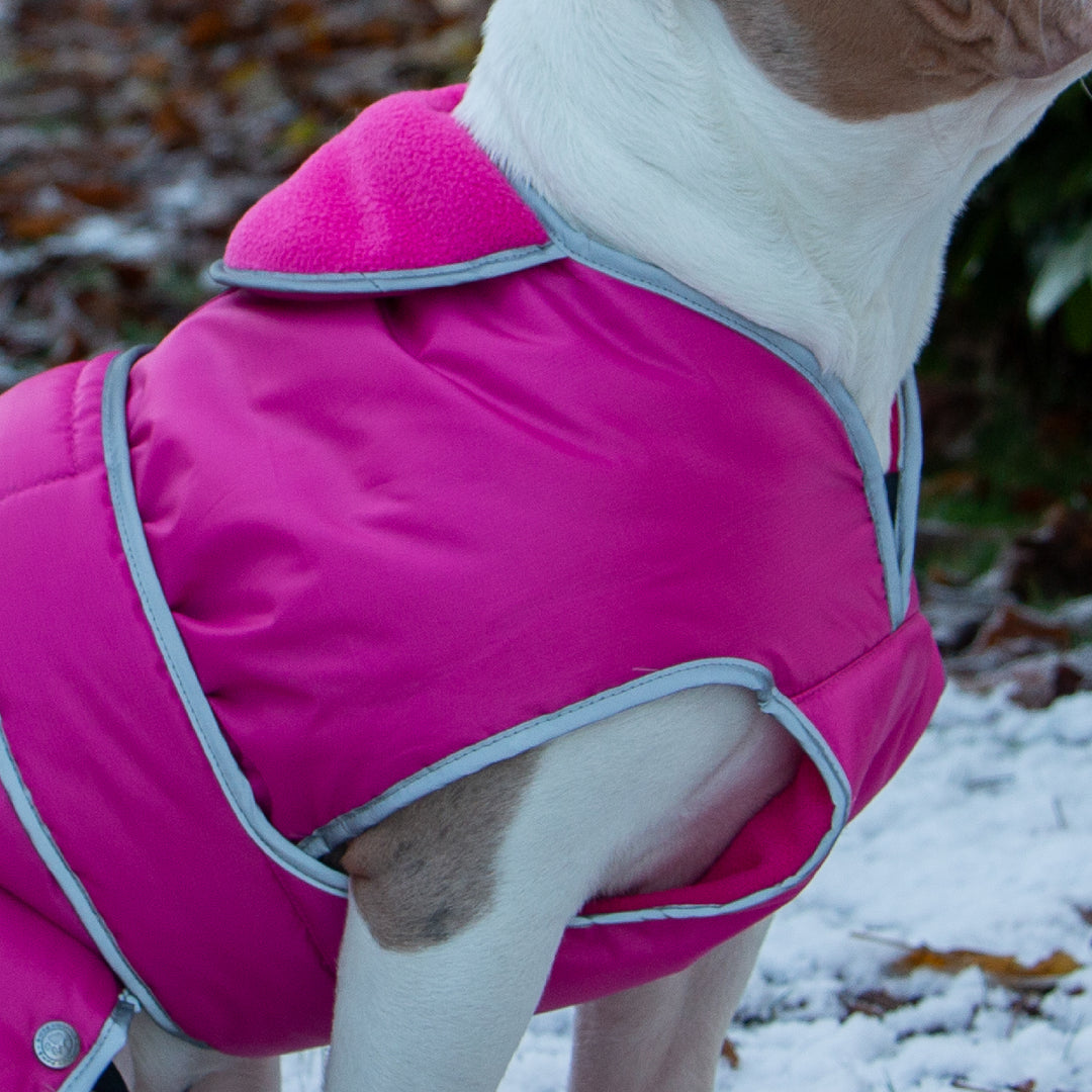 Ancol Stormguard Waterproof Dog Coat