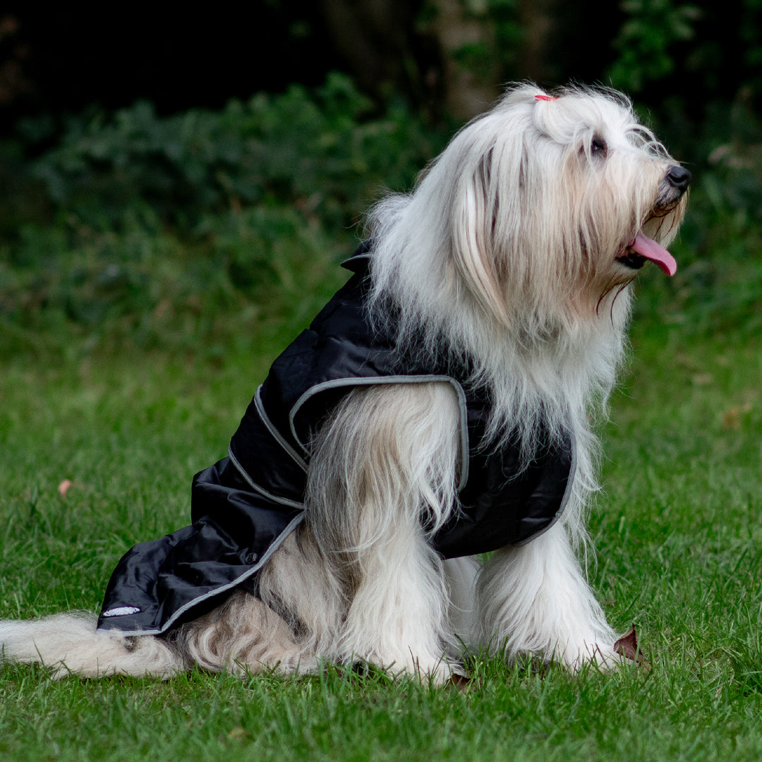 Ancol Stormguard Waterproof Dog Coat