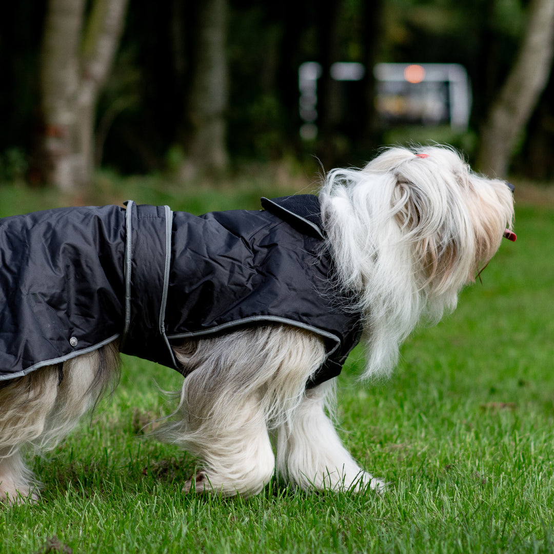 Ancol Stormguard Waterproof Dog Coat