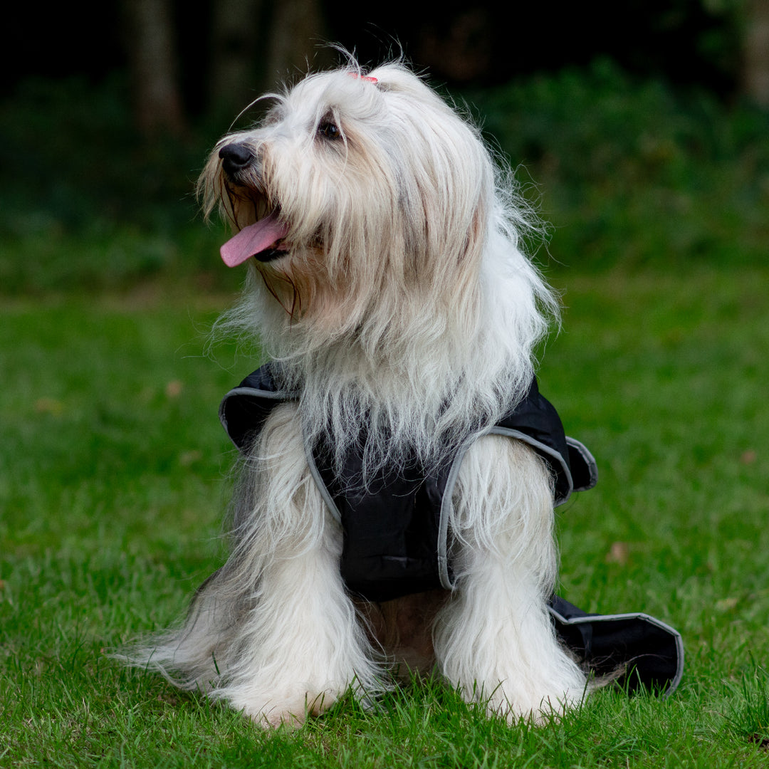 Ancol Stormguard Waterproof Dog Coat