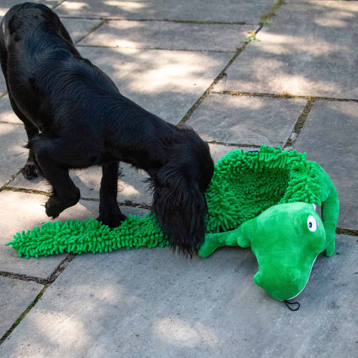 Ancol Orva Snuffle Croc Dog Toy