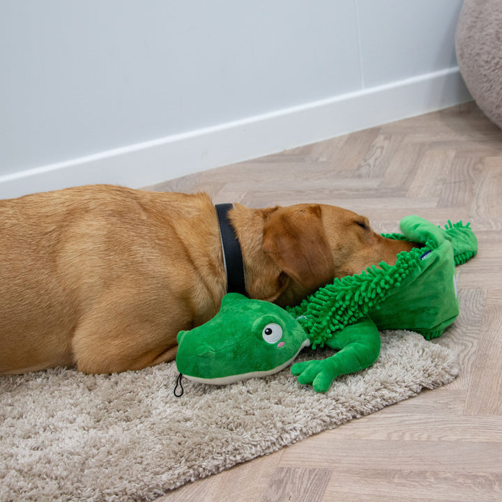 Ancol Orva Snuffle Croc Dog Toy