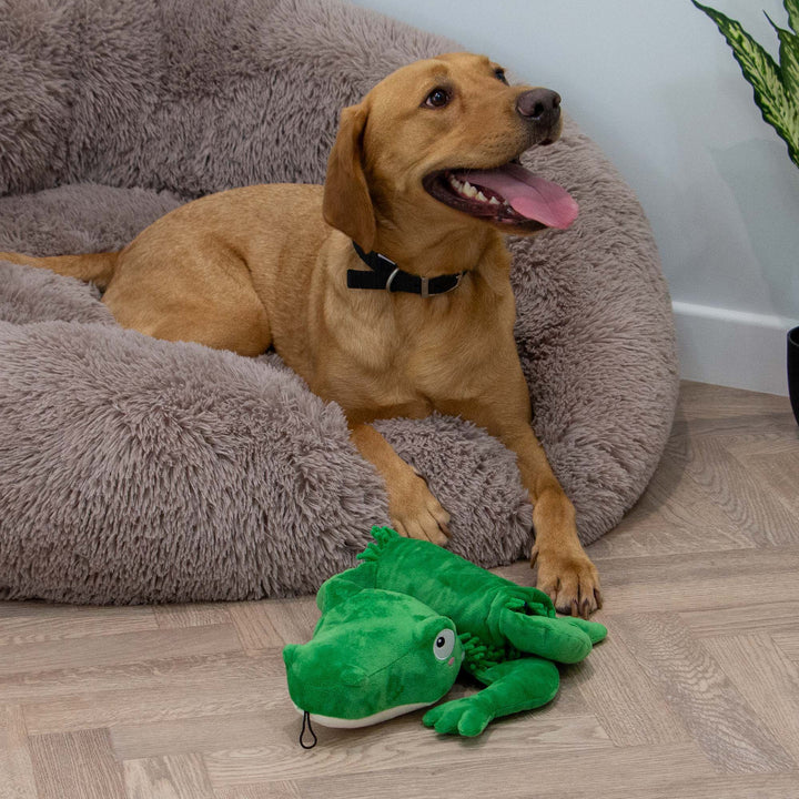 Ancol Orva Snuffle Croc Dog Toy
