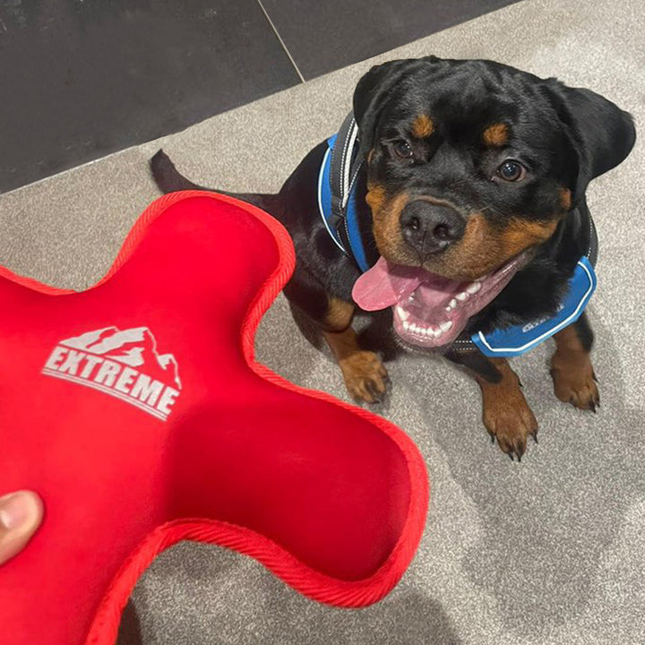 Ancol Extreme Floating Dog Toy