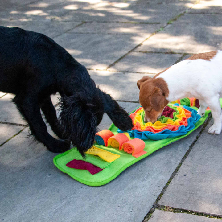 Ancol Orva Snuffle Strip Dog Toy