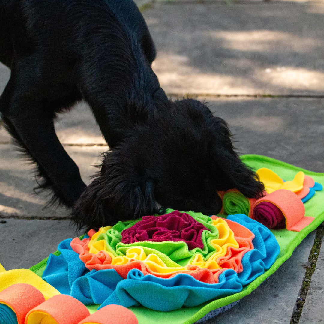 Ancol Orva Snuffle Strip Dog Toy