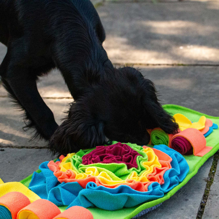 Ancol Orva Snuffle Strip Dog Toy