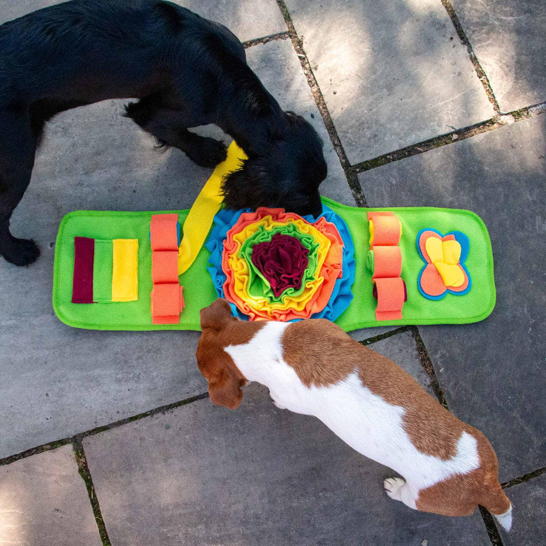 Ancol Orva Snuffle Strip Dog Toy
