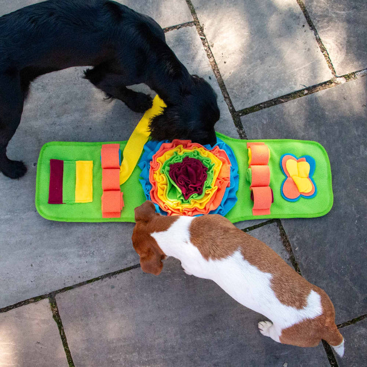 Ancol Orva Snuffle Strip Dog Toy