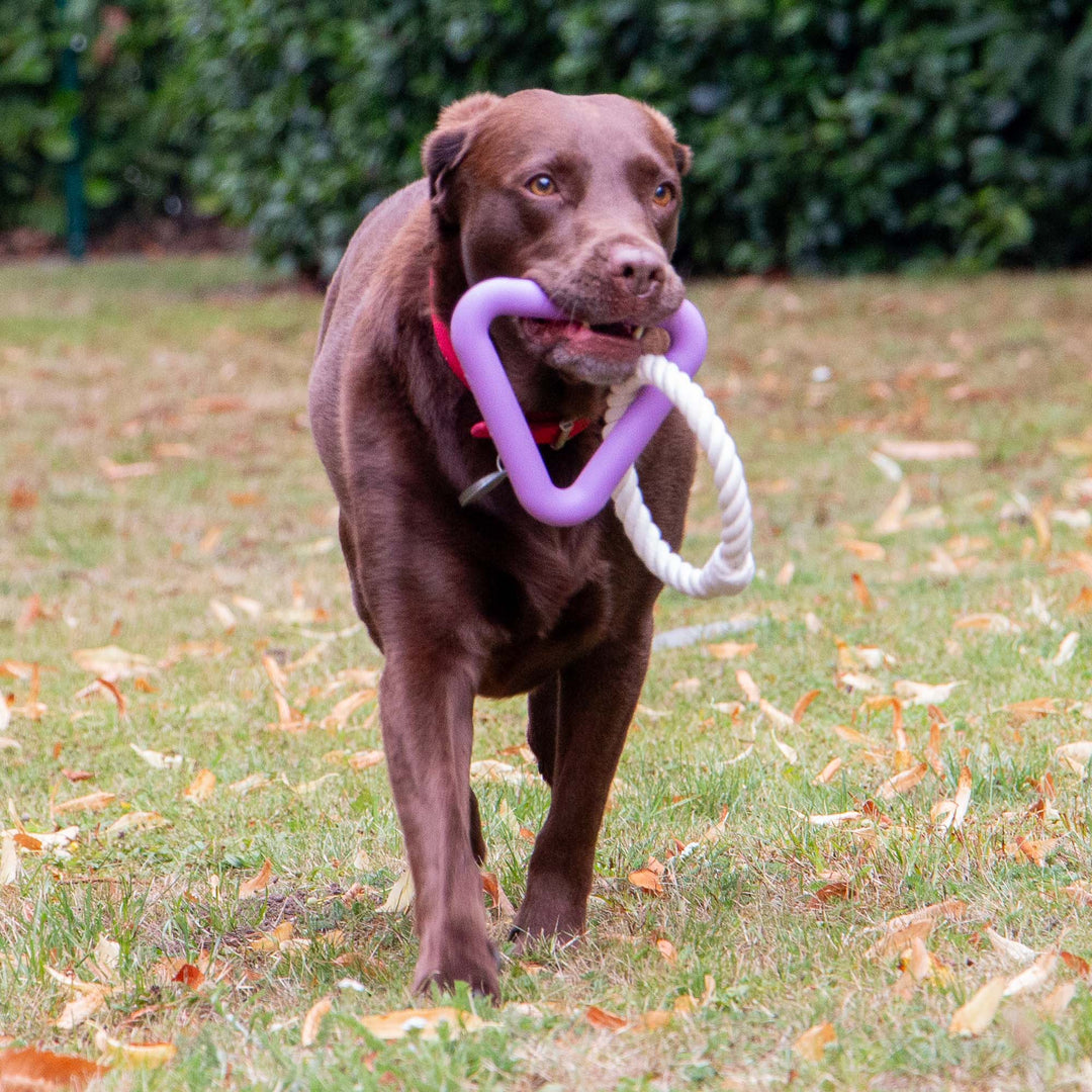 Ancol Playtime Natural Ropey Triangle Dog Toy