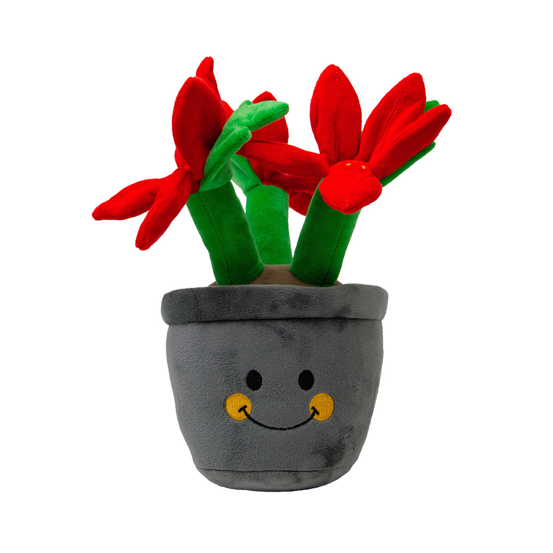 Ancol Henrietta Poinsettia Dog Toy