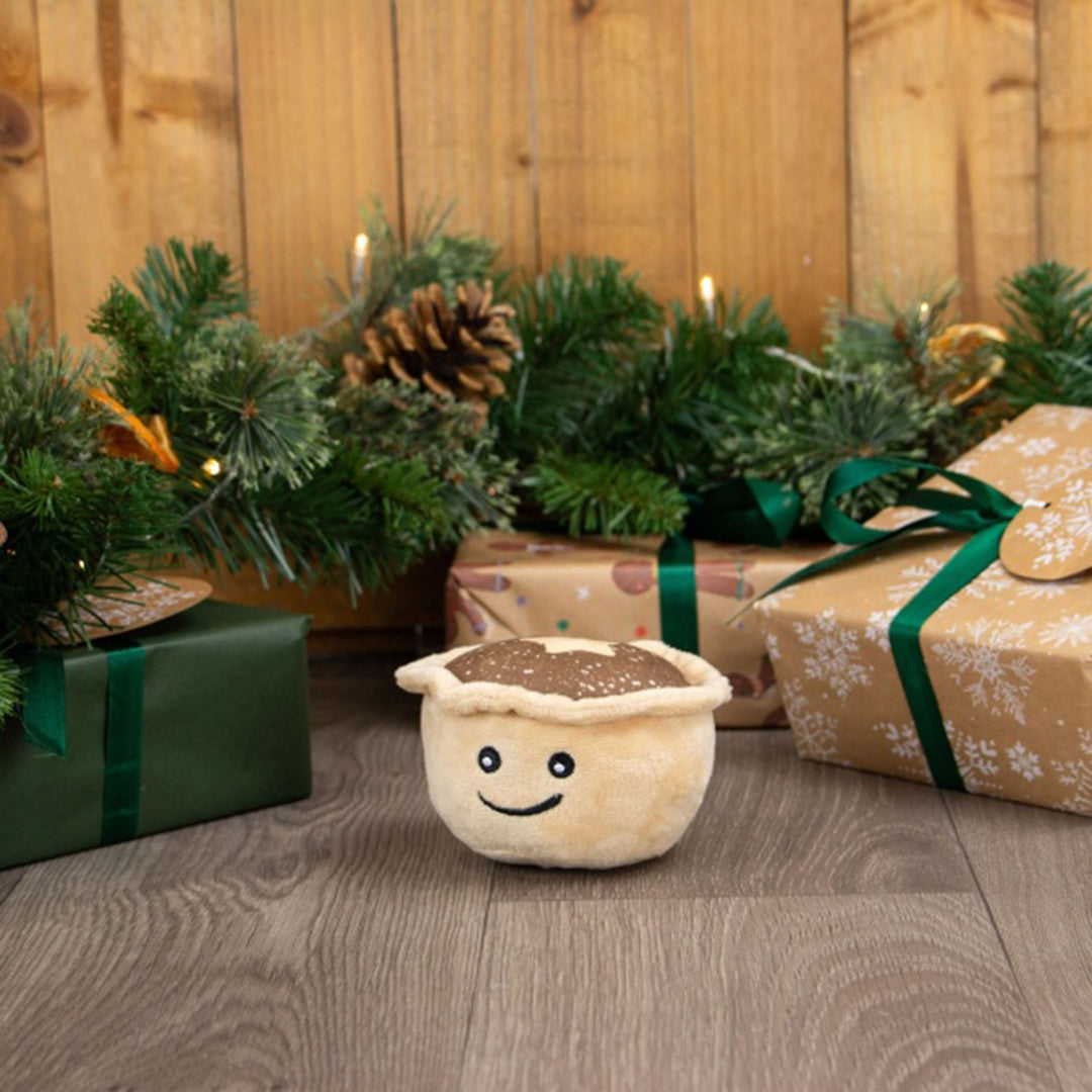Ancol Matty Mince Pie Dog Toy