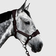 Aztec Diamond Panel Head Collar