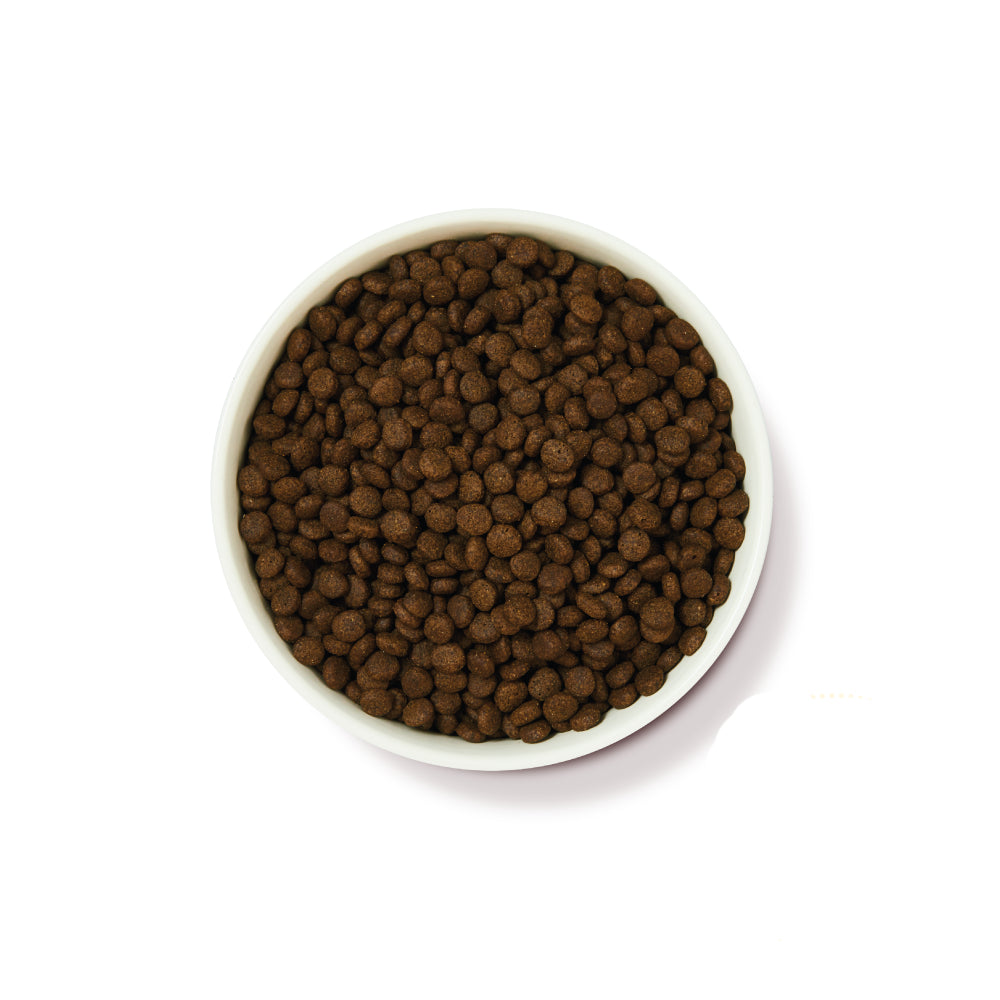 Lily's Kitchen Puppy Food with Chicken & Salmon