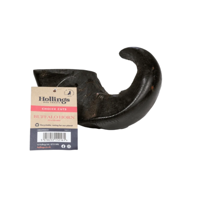 Hollings Buffalo Horn