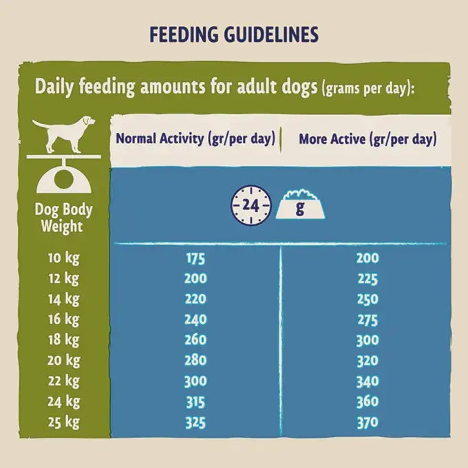 Beta Adult Dog Food with Turkey & Lamb